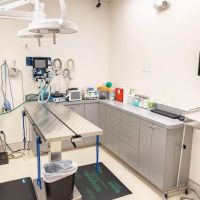 Pet Time Animal Hospital ico