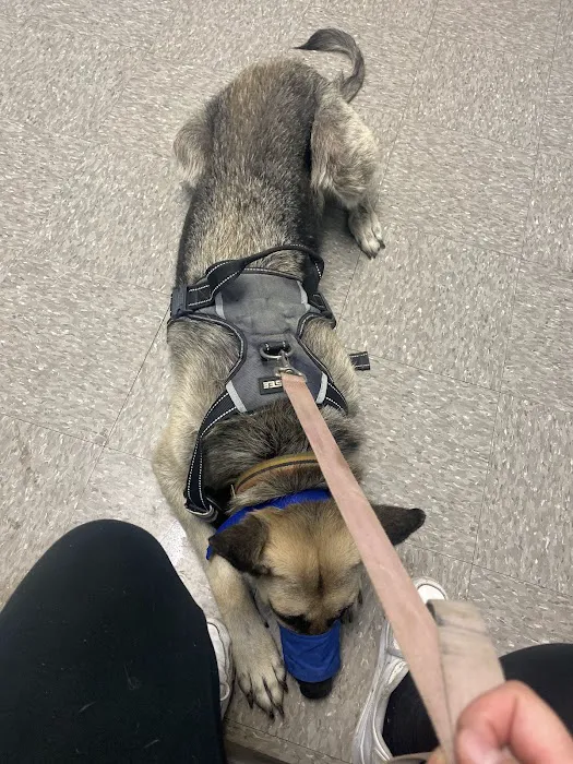 Pet Time Animal Hospital Picture 4