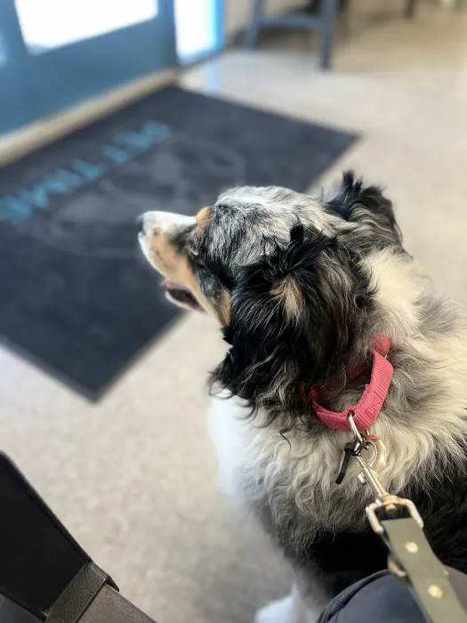 Pet Time Animal Hospital Picture 3