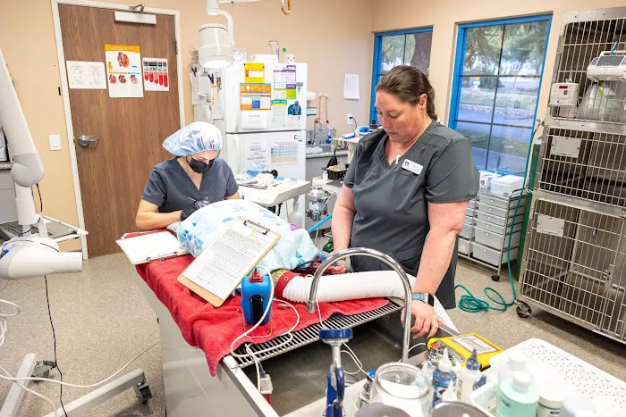 Pet Time Animal Hospital Picture 7