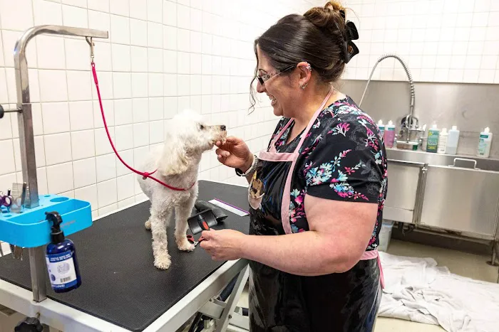 Pet Time Animal Hospital Picture 8