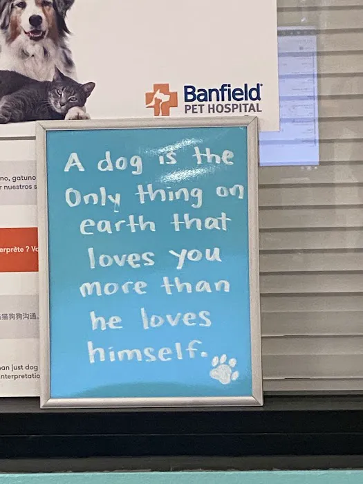 Banfield Pet Hospital Picture 2