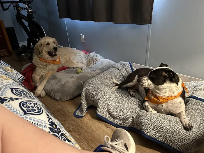 Banfield Pet Hospital Picture 1
