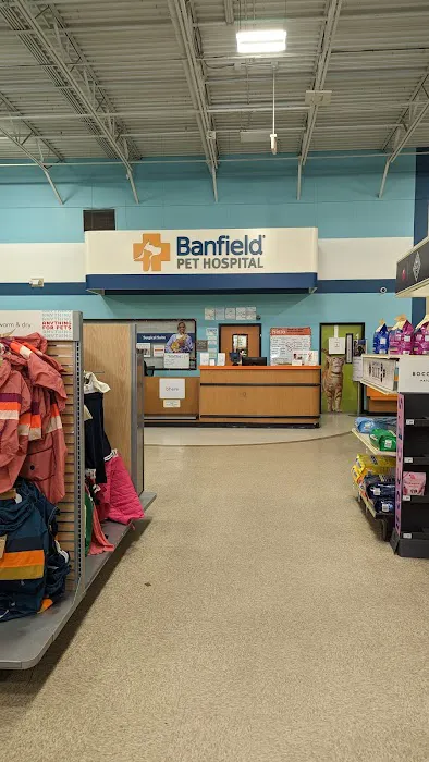 Banfield Pet Hospital Picture 8