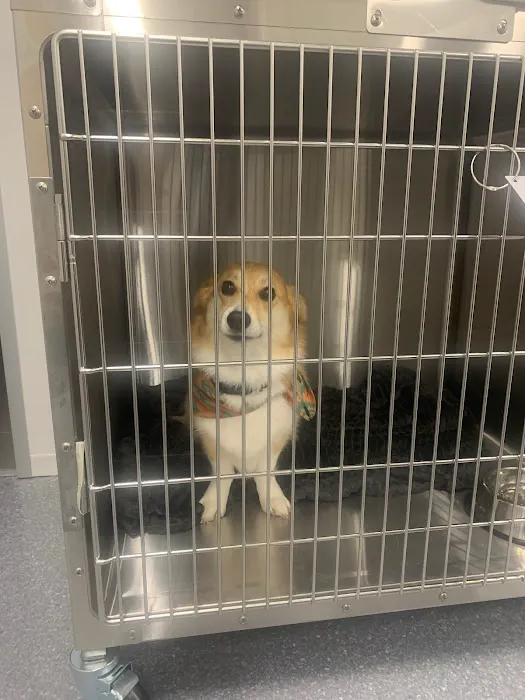 Monarch Veterinary Hospital Picture 7
