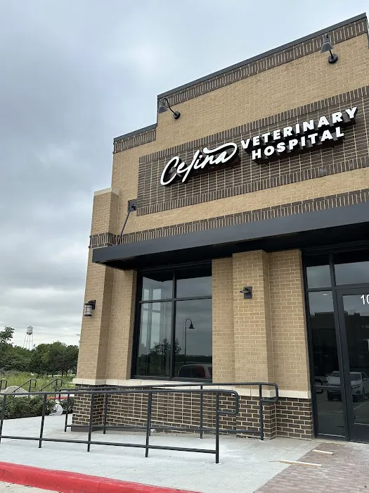 Celina Veterinary Hospital Picture 1