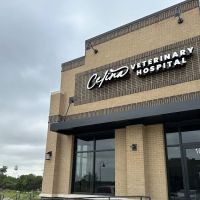Celina Veterinary Hospital ico