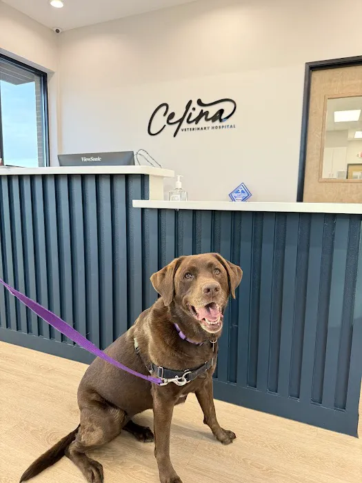 Celina Veterinary Hospital Picture 7