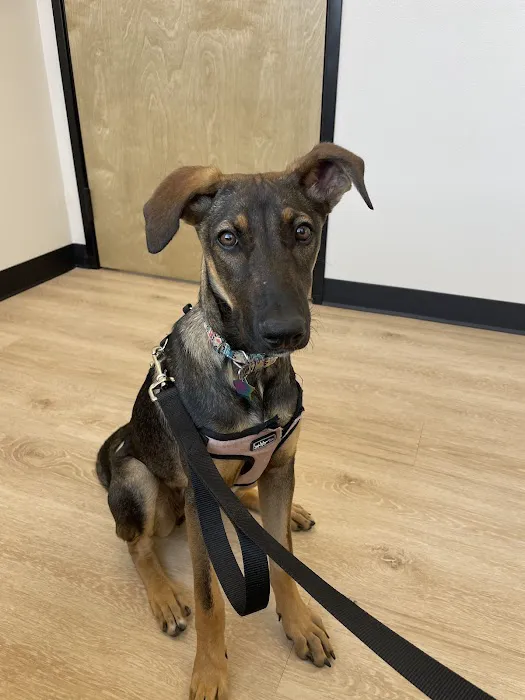 Celina Veterinary Hospital Picture 8