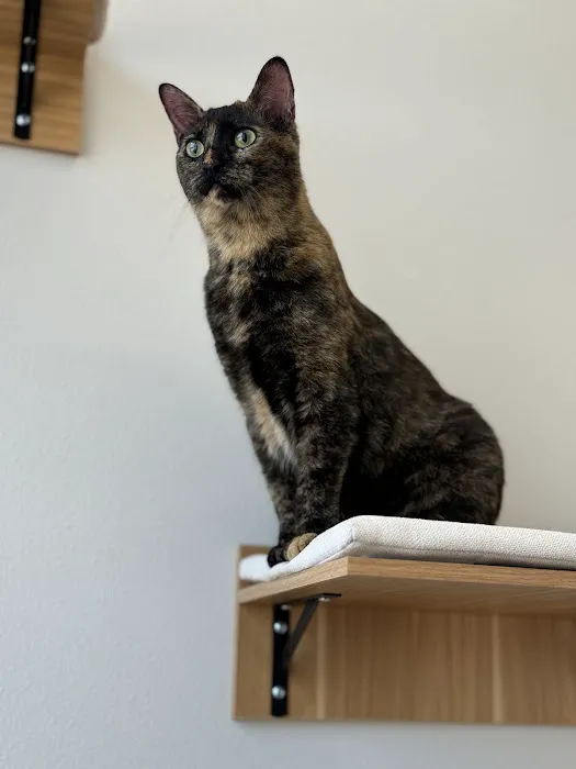 Celina Veterinary Hospital Picture 5