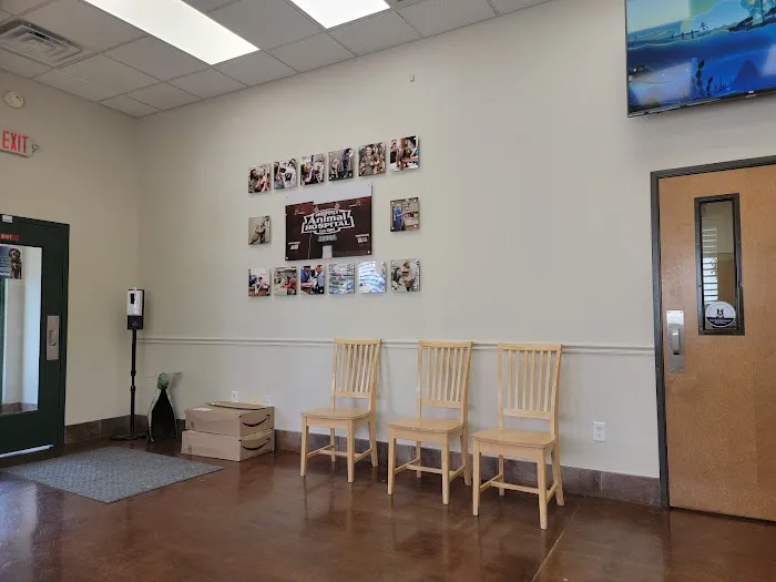 Mckinney Animal Hospital Picture 9