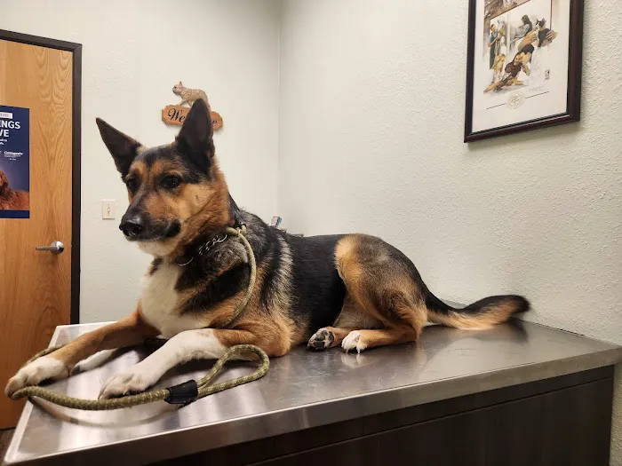 Virginia Parkway Pet Hospital Picture 3