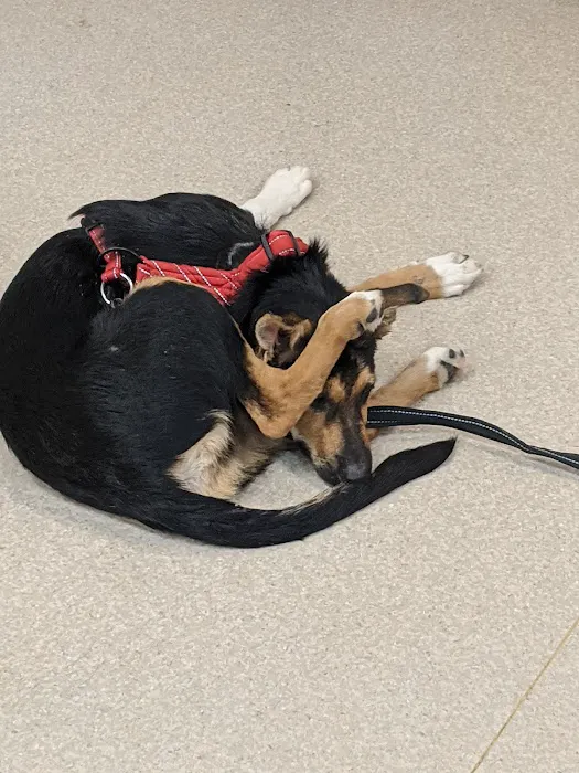 Virginia Parkway Pet Hospital Picture 2