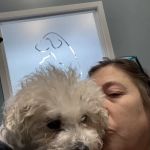 easyvet Veterinarian McKinney