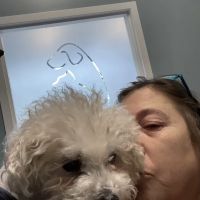 easyvet Veterinarian McKinney ico