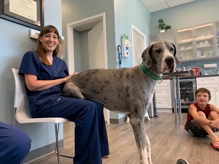 easyvet Veterinarian McKinney Picture 2