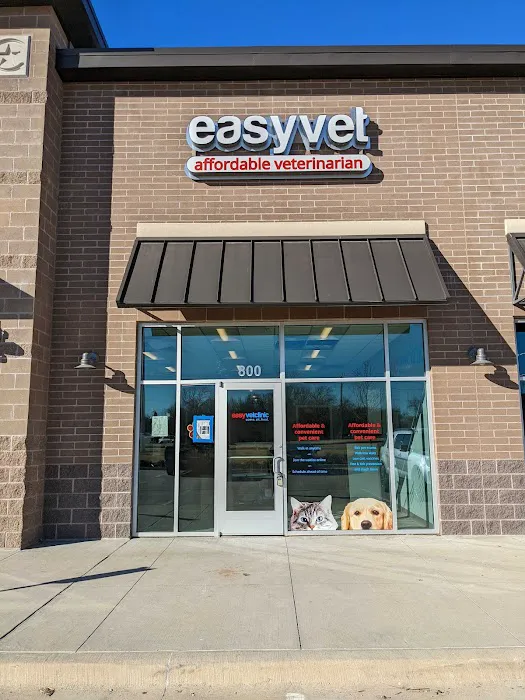easyvet Veterinarian McKinney Picture 9