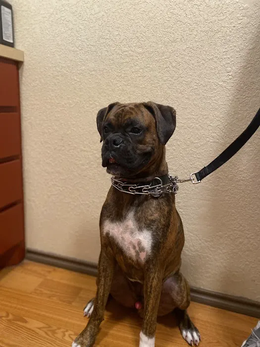 380 West Animal Hospital Picture 3