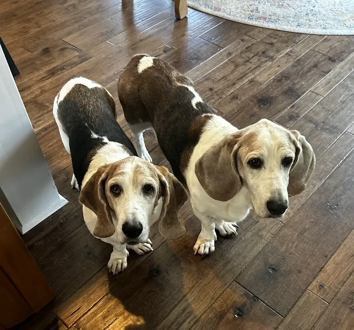 380 West Animal Hospital Picture 8