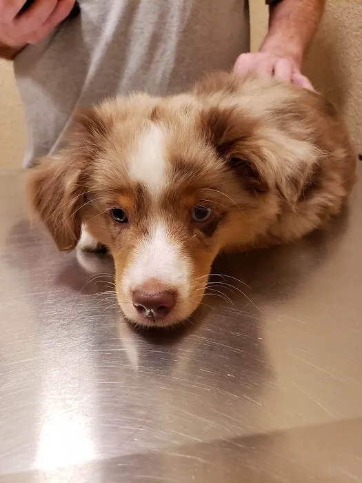 380 West Animal Hospital Picture 9