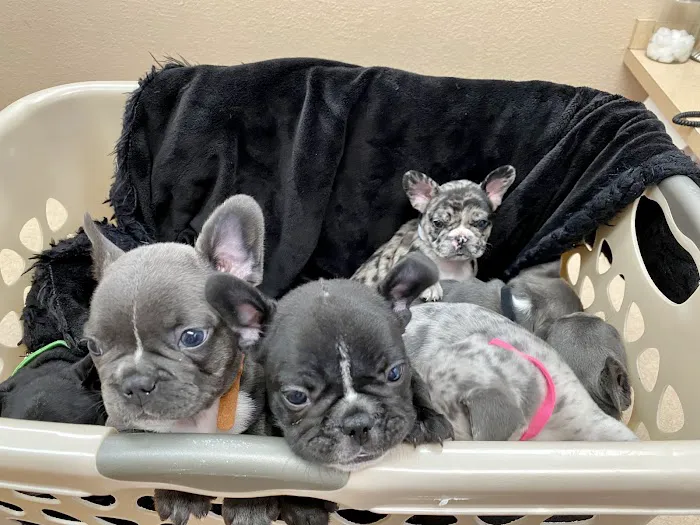 380 West Animal Hospital Picture 6
