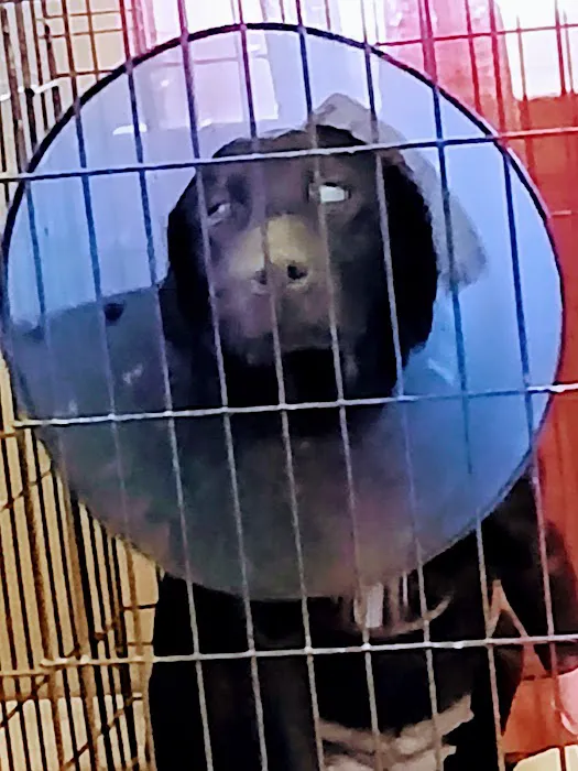 Shelton Veterinary Hospital Picture 5