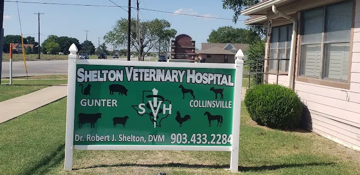 Shelton Veterinary Hospital Picture 8