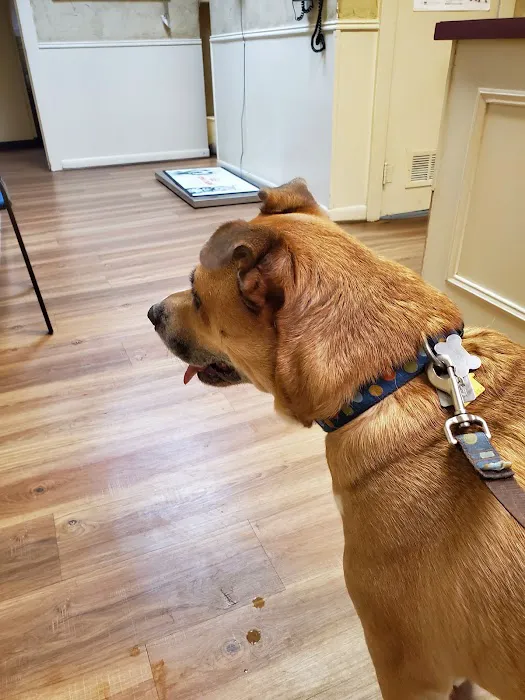 Lange Veterinary Hospital Picture 3