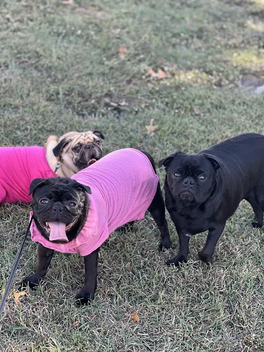 Canyon Creek Family Vet Picture 4