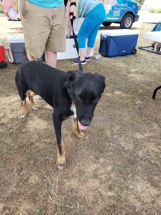 Texoma Veterinary Hospital Picture 5