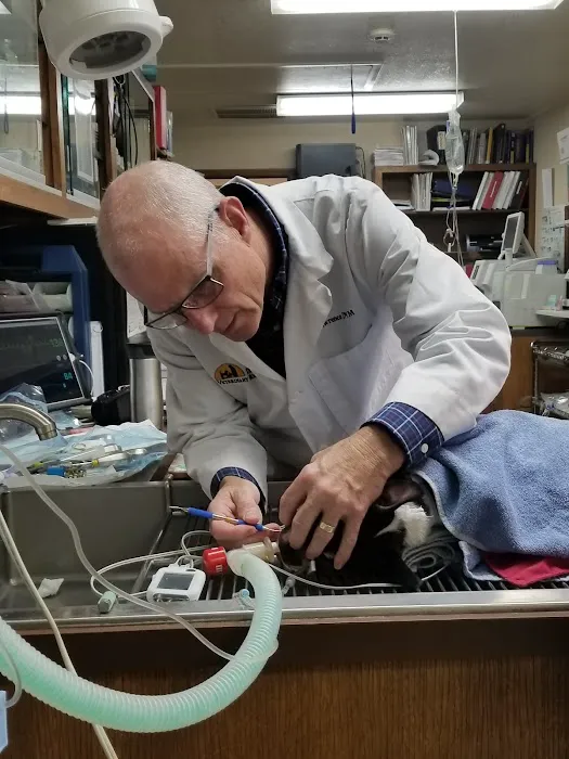 Texoma Veterinary Hospital Picture 10