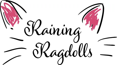 Raining Ragdolls Picture 10