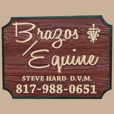 Brazos Equine Services Picture 3