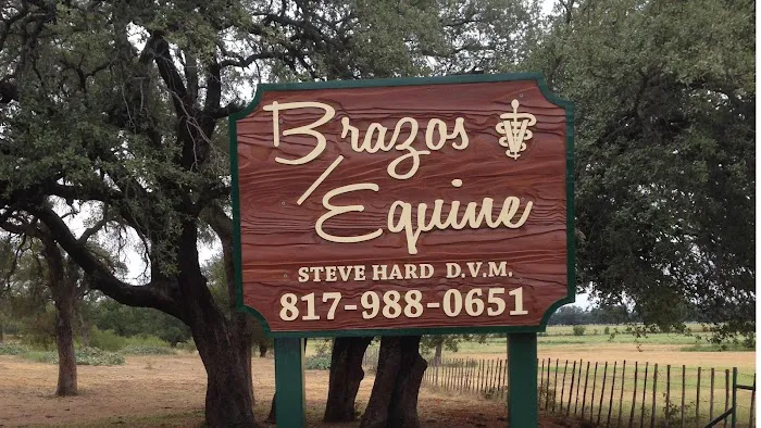 Brazos Equine Services Picture 1