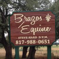 Brazos Equine Services ico