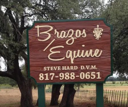 Brazos Equine Services