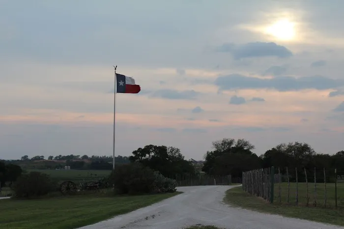 Brazos Equine Services Picture 2