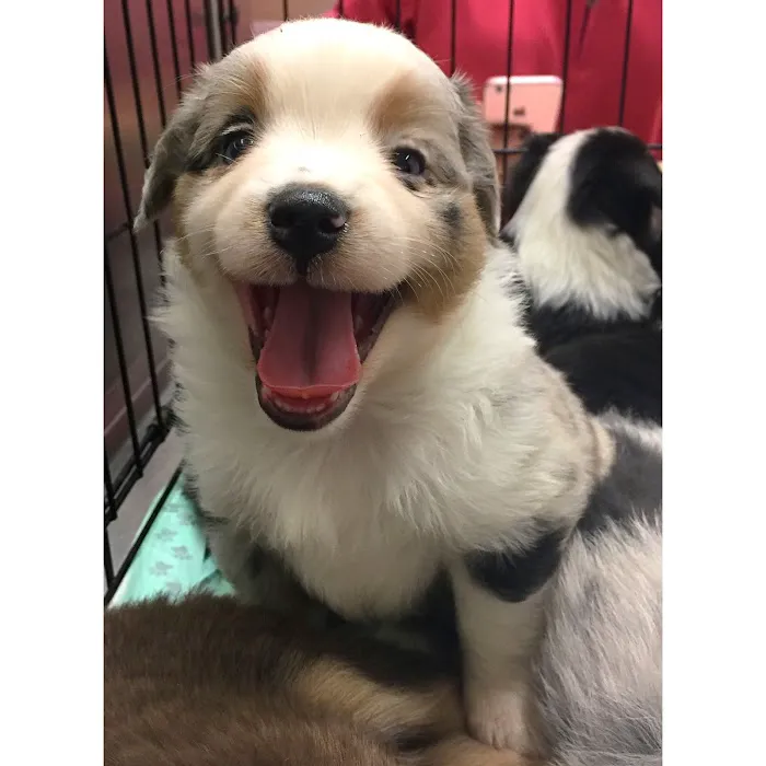Cottonwood Creek Veterinary Hospital Picture 1