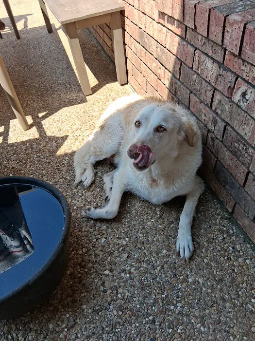 Cottonwood Creek Veterinary Hospital Picture 2