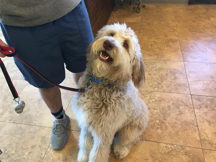 Cottonwood Creek Veterinary Hospital Picture 9