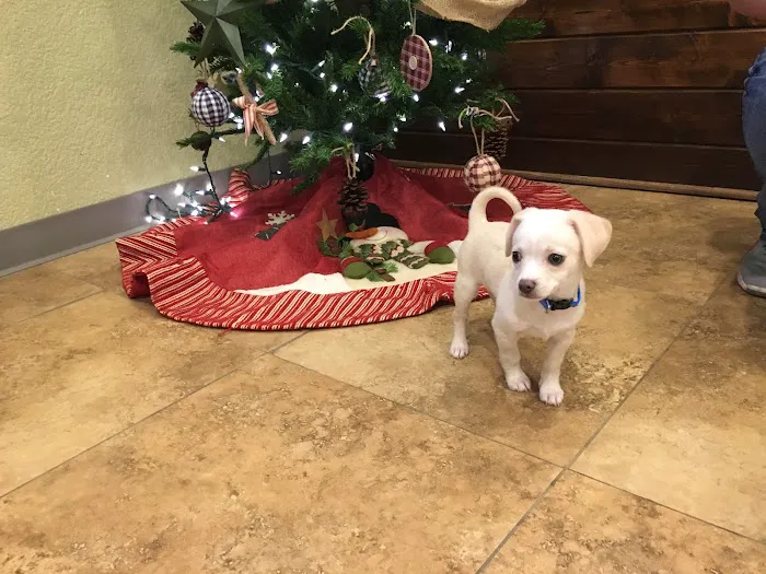 Cottonwood Creek Veterinary Hospital Picture 8