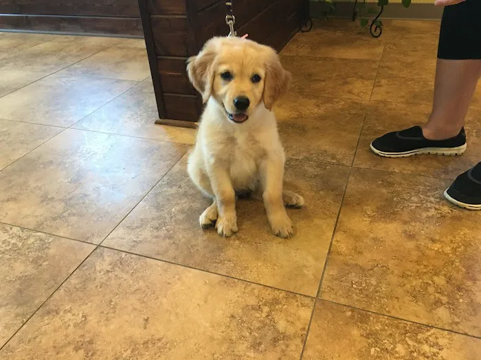 Cottonwood Creek Veterinary Hospital Picture 6