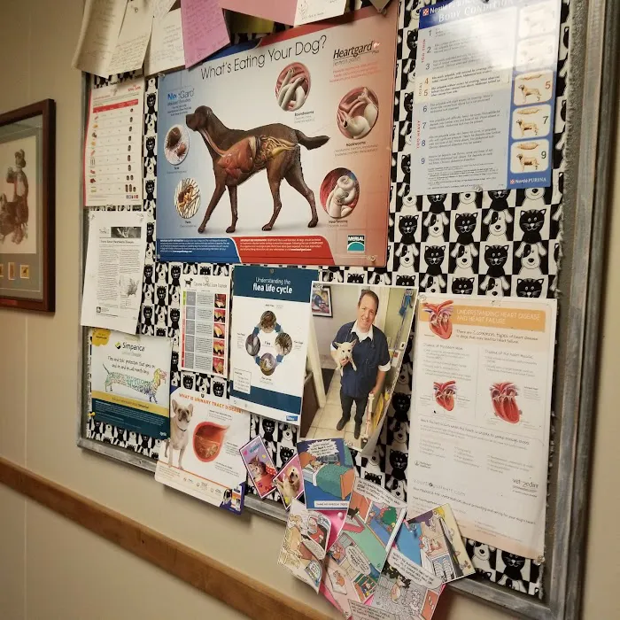 Animal Hospital of Waco Picture 6