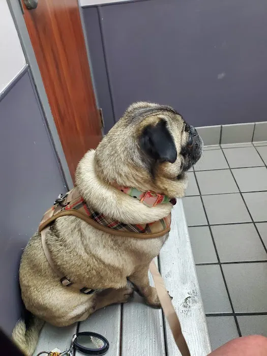 Animal Hospital of Waco Picture 10