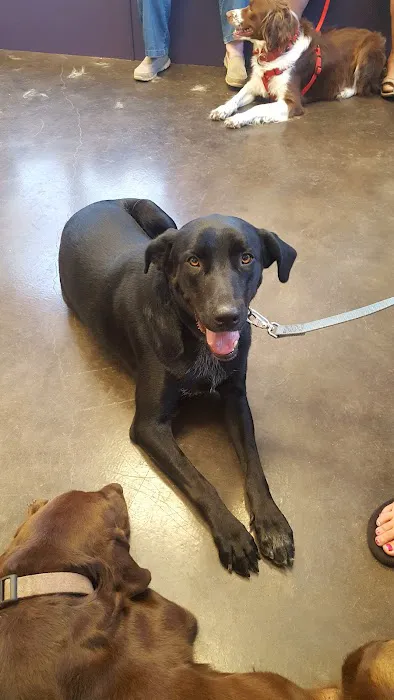 Animal Birth Control Clinic Picture 2