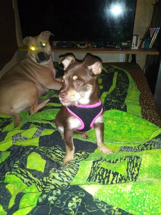 Mart Veterinary Clinic Picture 2