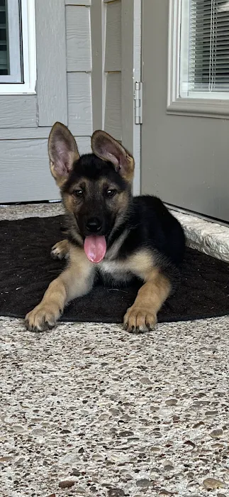 Banfield Pet Hospital Picture 9