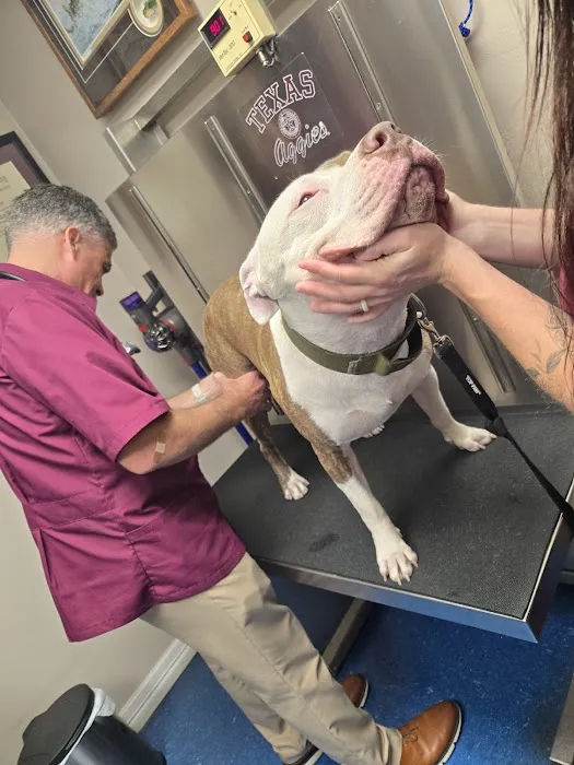 Lake Air Animal Hospital Picture 8