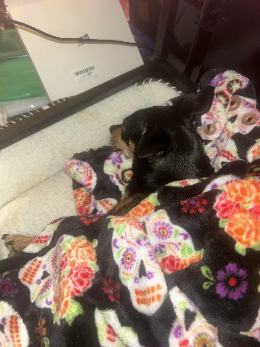 Barkley Animal Clinic Picture 1
