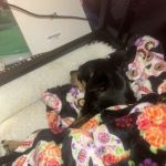 Barkley Animal Clinic